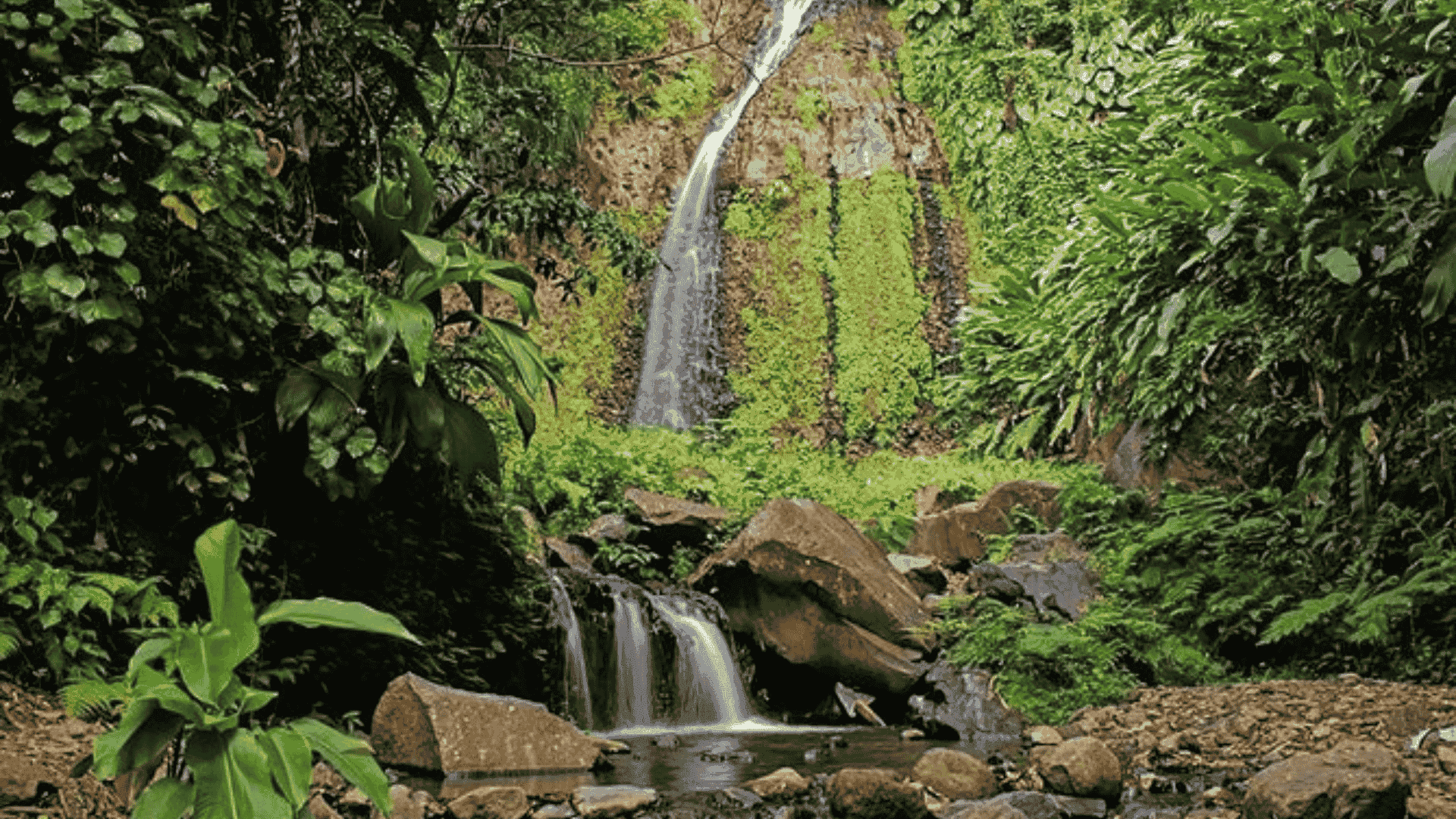 Dark View Falls