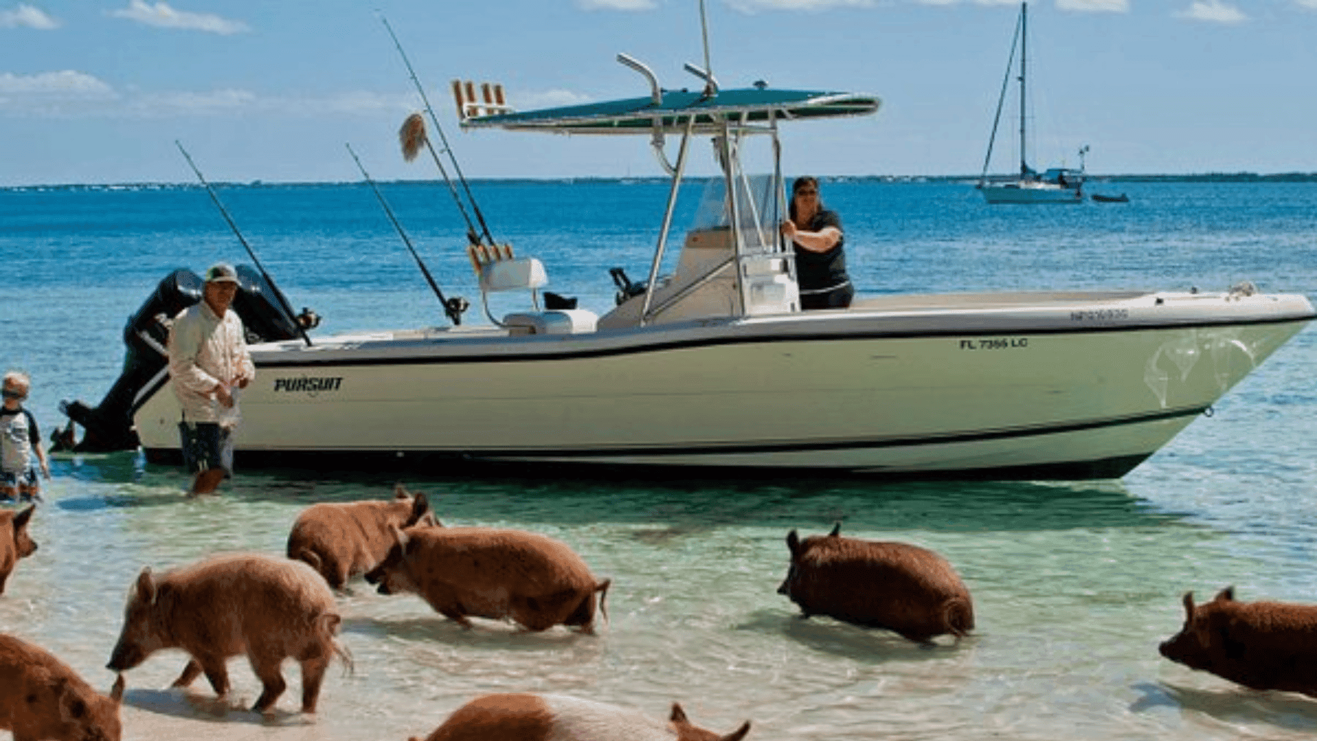 Green Turtle Cay