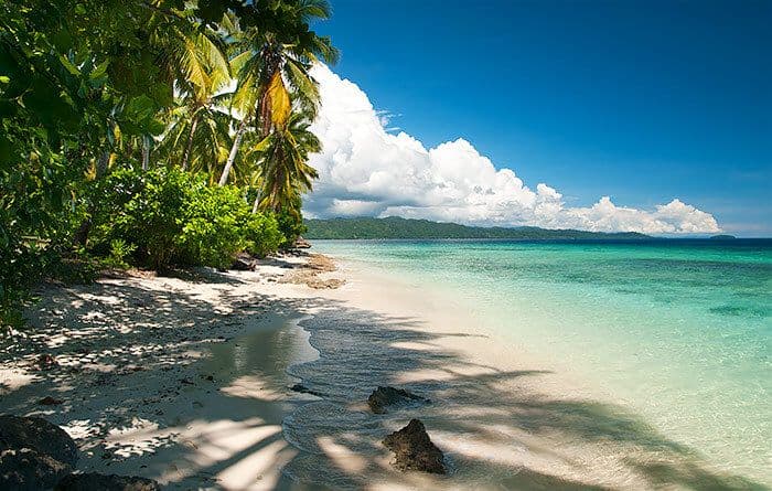 Day 6: Friwen And Pulau Mioskon (Central)